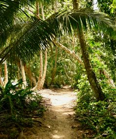Natuur van Costa Rica